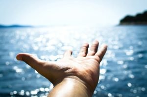 LifeRing Introduces New Outreach Committee