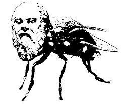 Illustration of a gadfly with Socrates' face added as its head. Very silly.