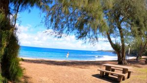 image of beach Maui LifeRing Meet