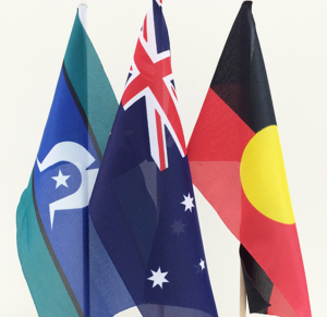 LifeRing Australia Image of Australian Flags