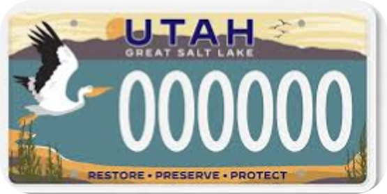 Utah License Plate representing LifeRing Salt Lake City In-Person Meetings