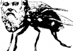 Socratic Gadfly Illustration of a gadfly with Socrates' face added as its head. Very silly.